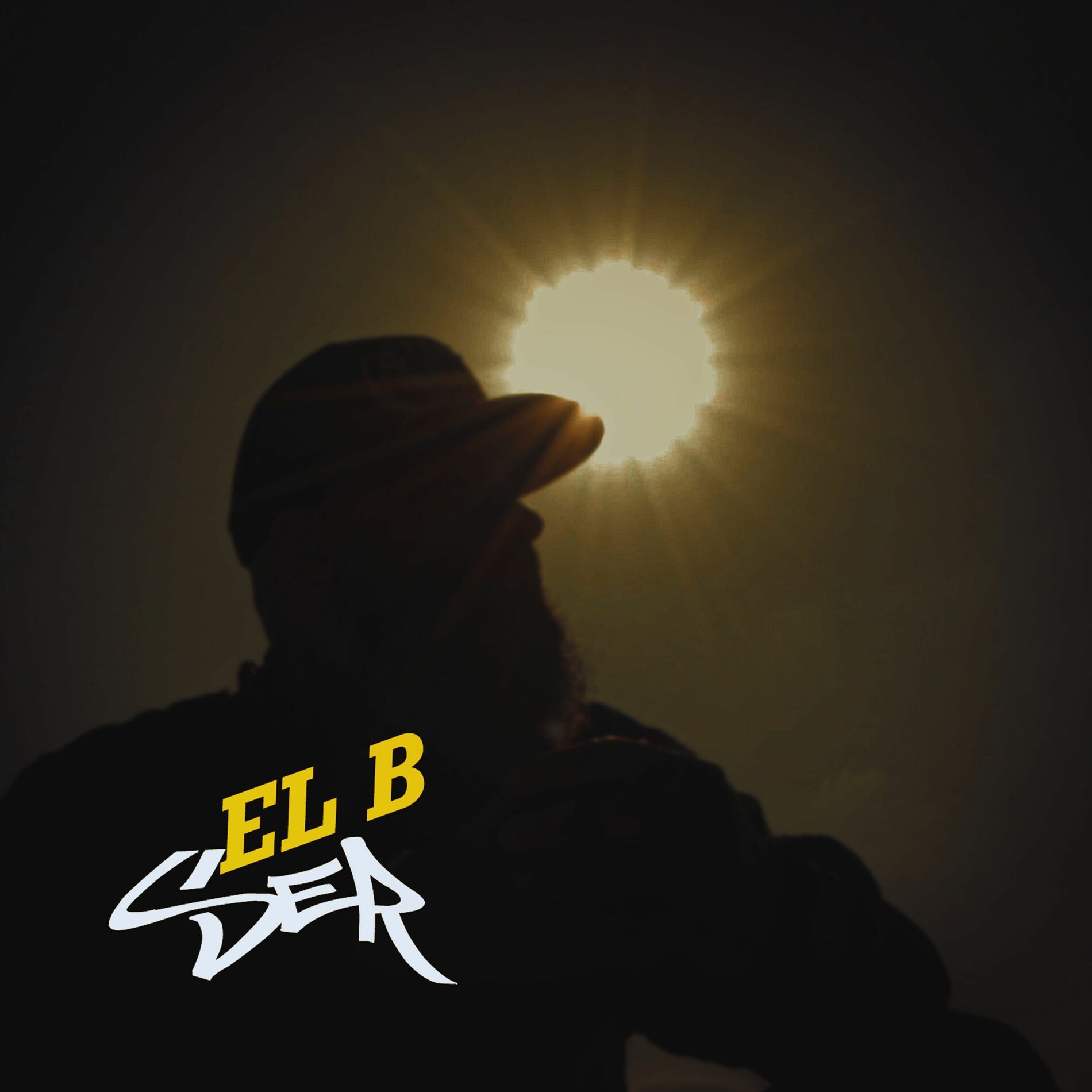 Album cover of Ser