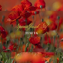 Cover of Ti Si Ta