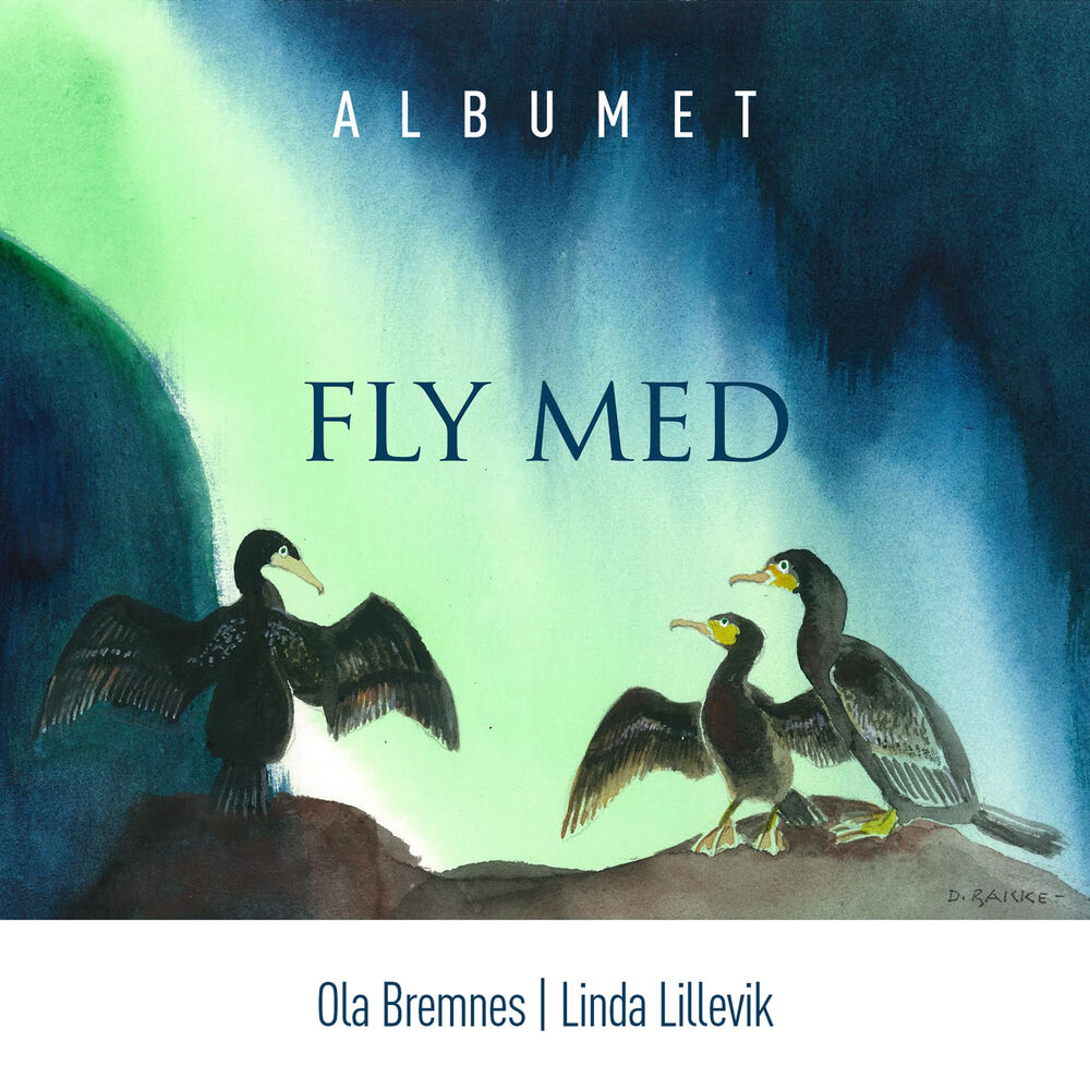 Picture of Fly med