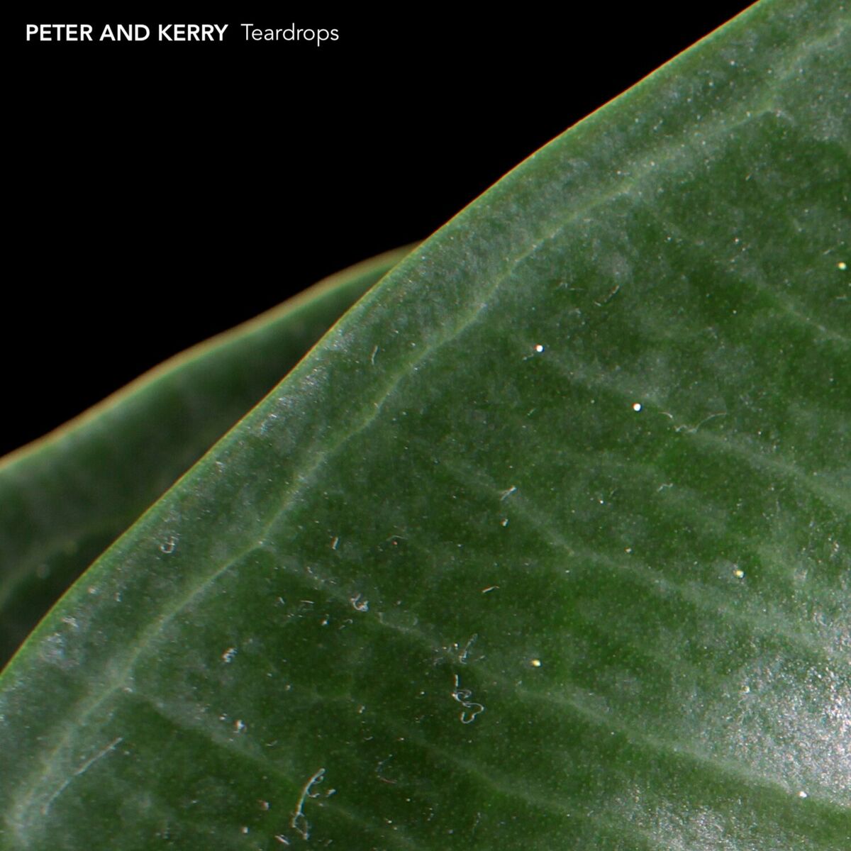Album cover of Teardrops