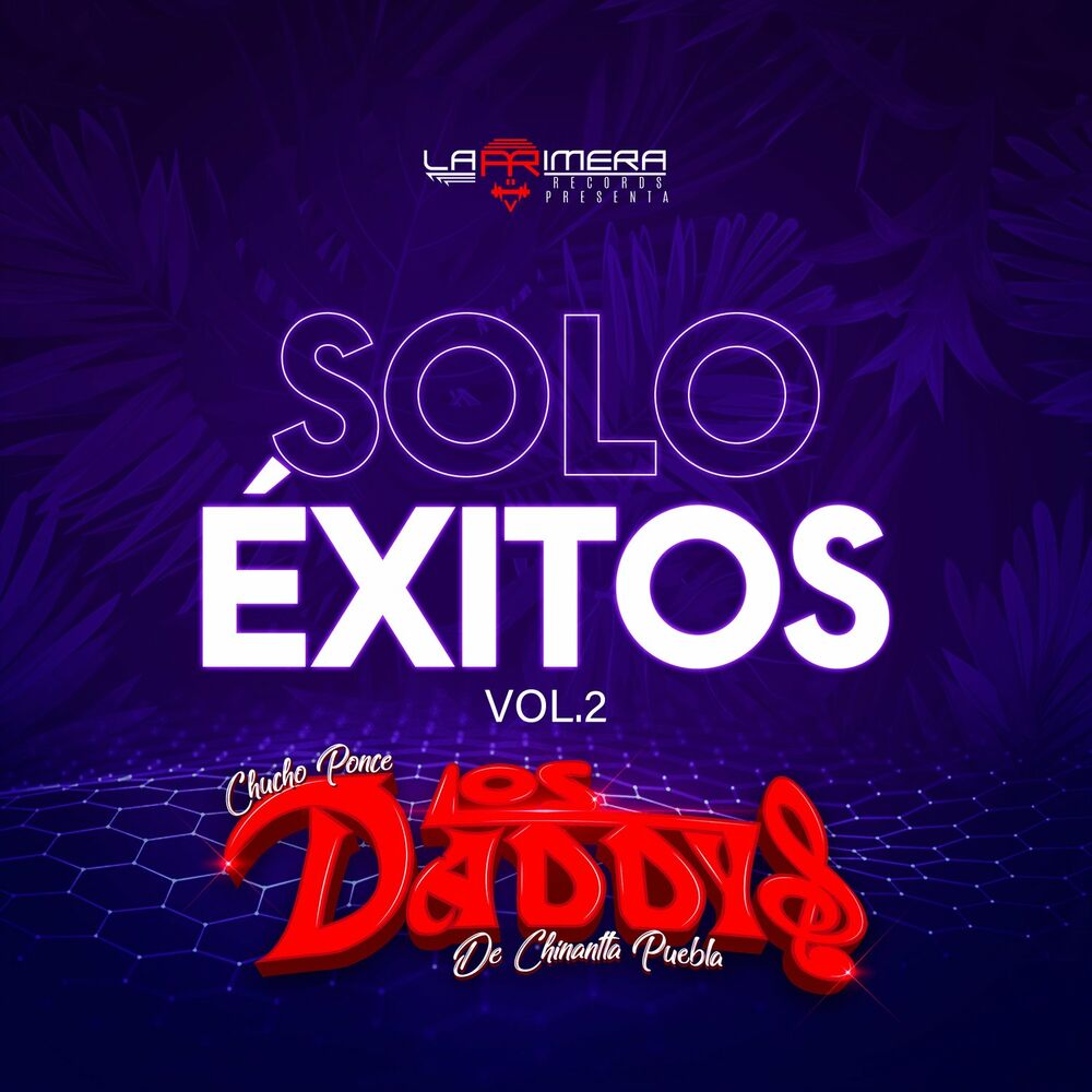 Picture of Solo Exitos Vol. 2