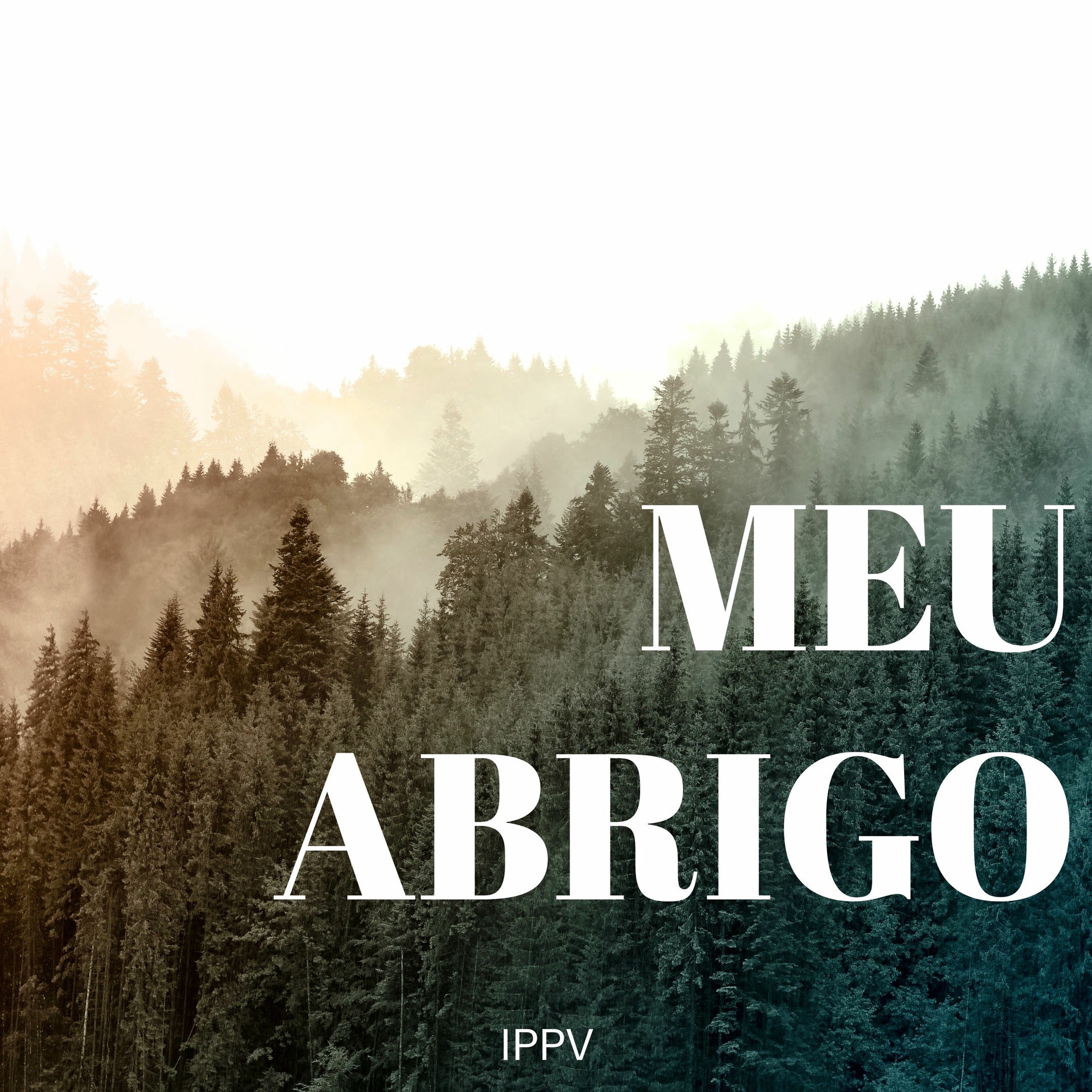 Album cover of Meu Abrigo