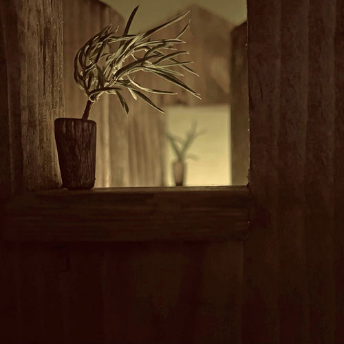 Nit (Rework)