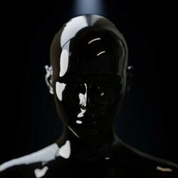 Cover of Fade To Black