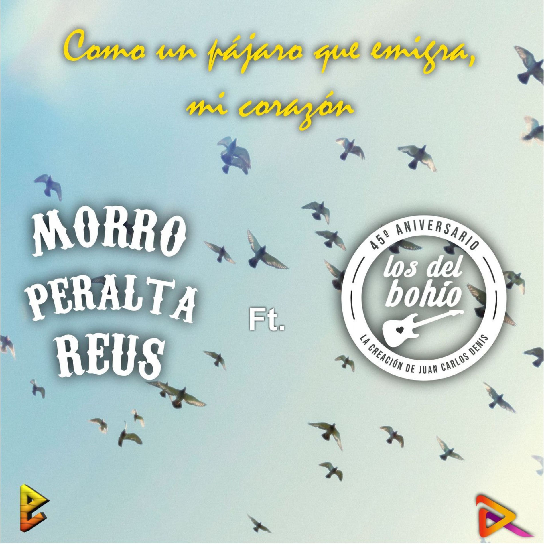 Album cover of Como un Pájaro Que Emigra, Mi Corazón