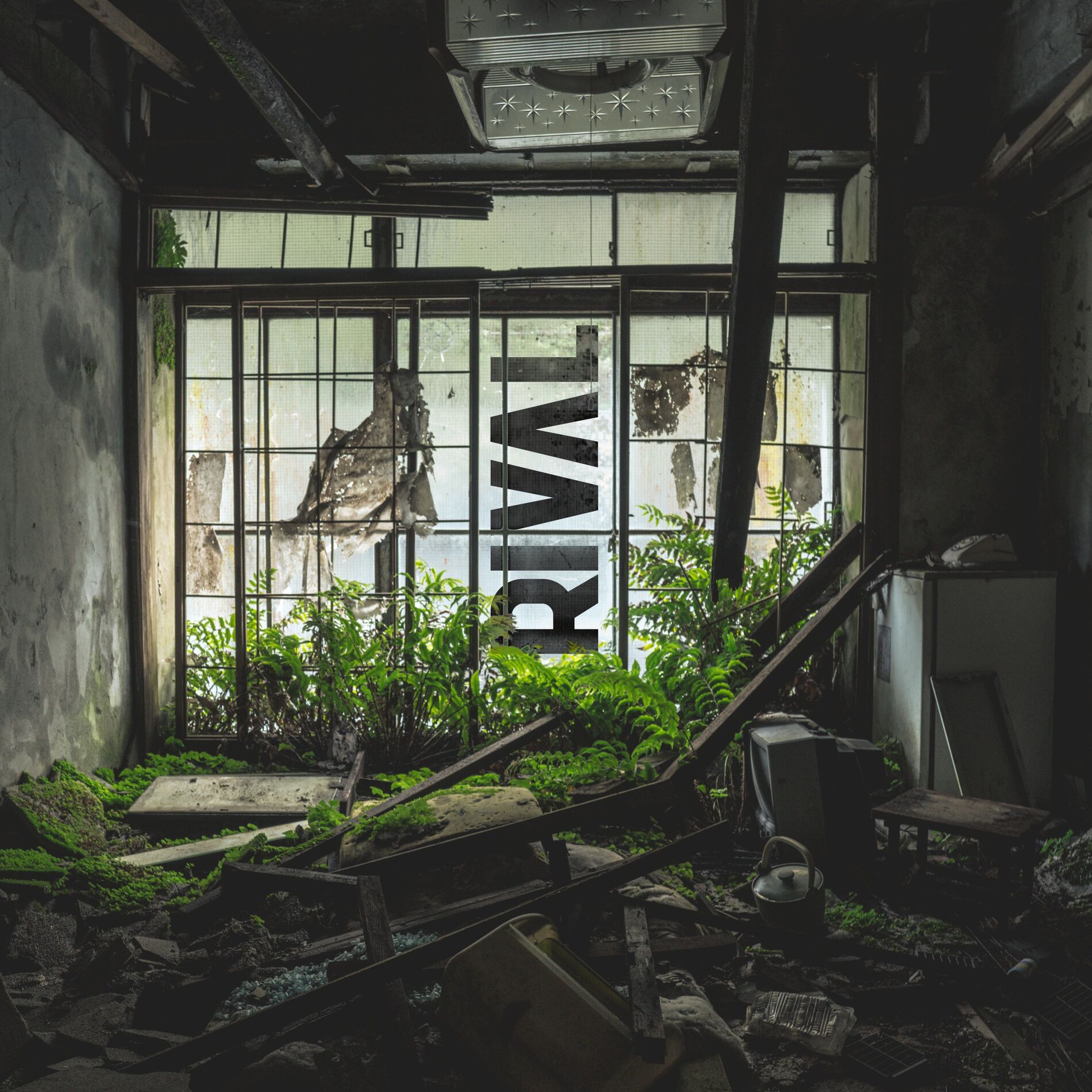 Album cover of Rival