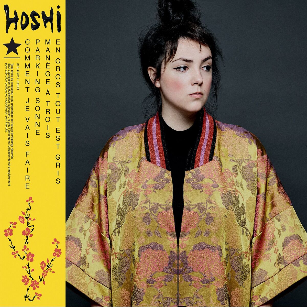 Album cover of Comment je vais faire