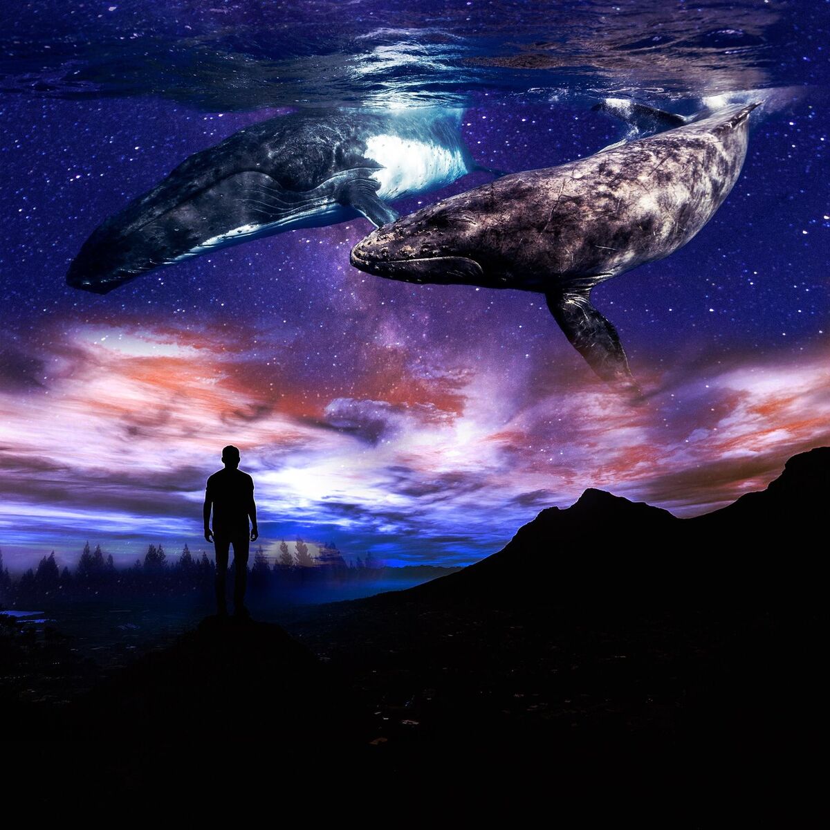Album cover of In Between