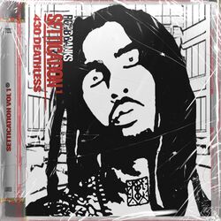 Cover of Settication