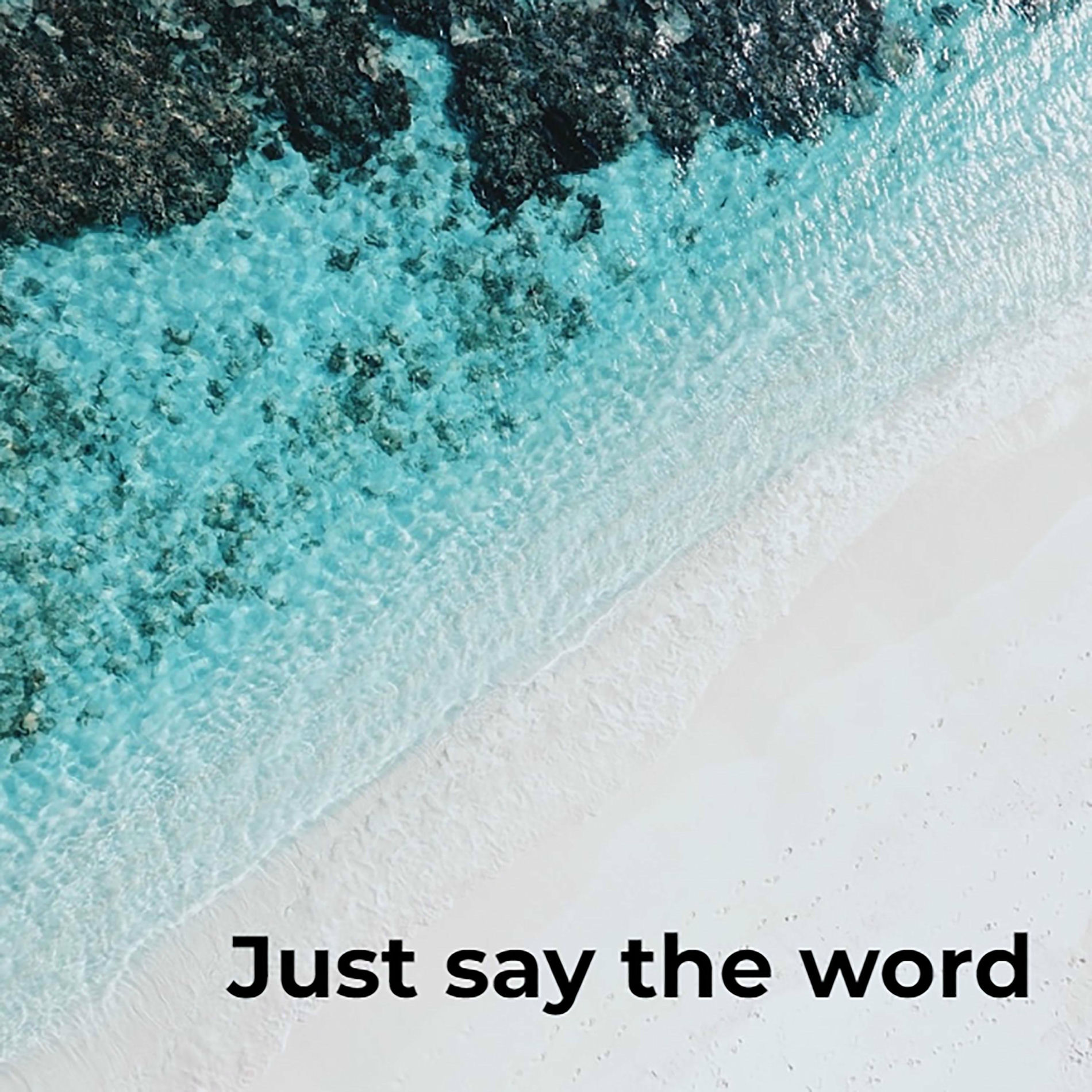 Album cover of JUST SAY THE WORD