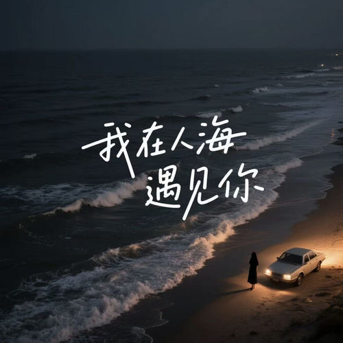 我在人海遇见你（DJ墨韩Mix版)