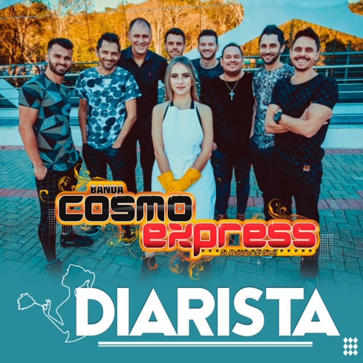 Album cover of Diarista