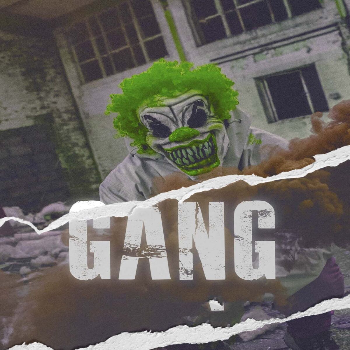 Album cover of Gang