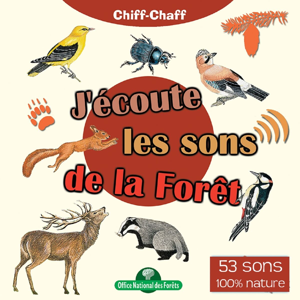 Album cover of J'écoute les sons de la forêt