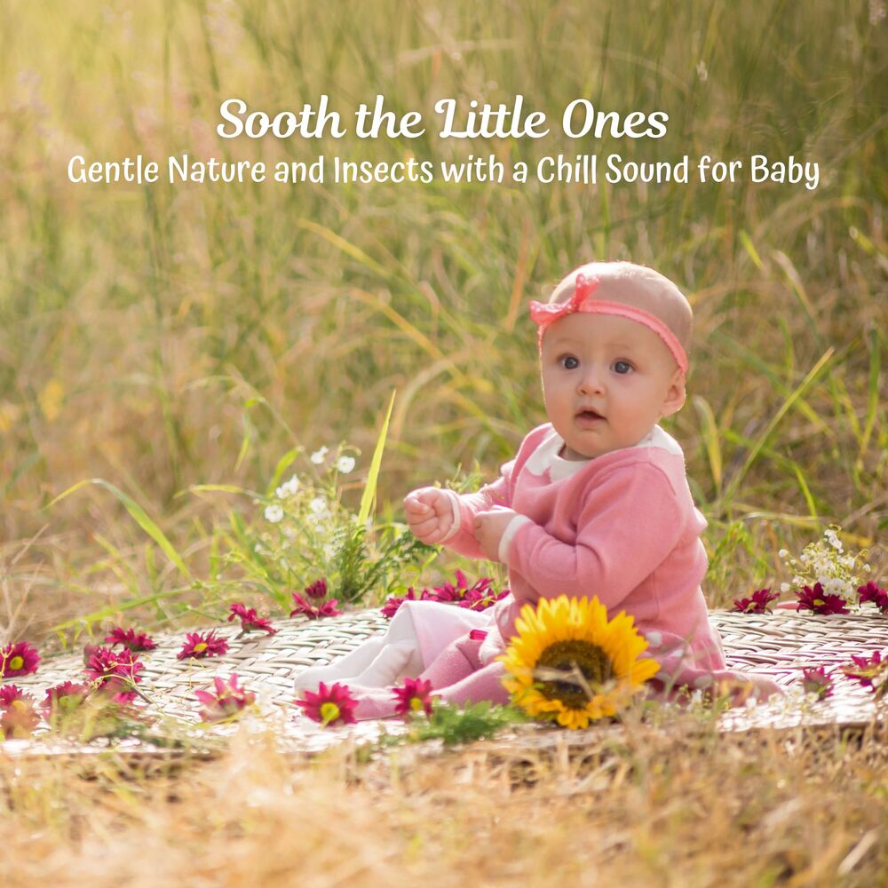 Picture of Sooth the Little Ones: Gentle Nature and Insects with a Chill Sound for Baby