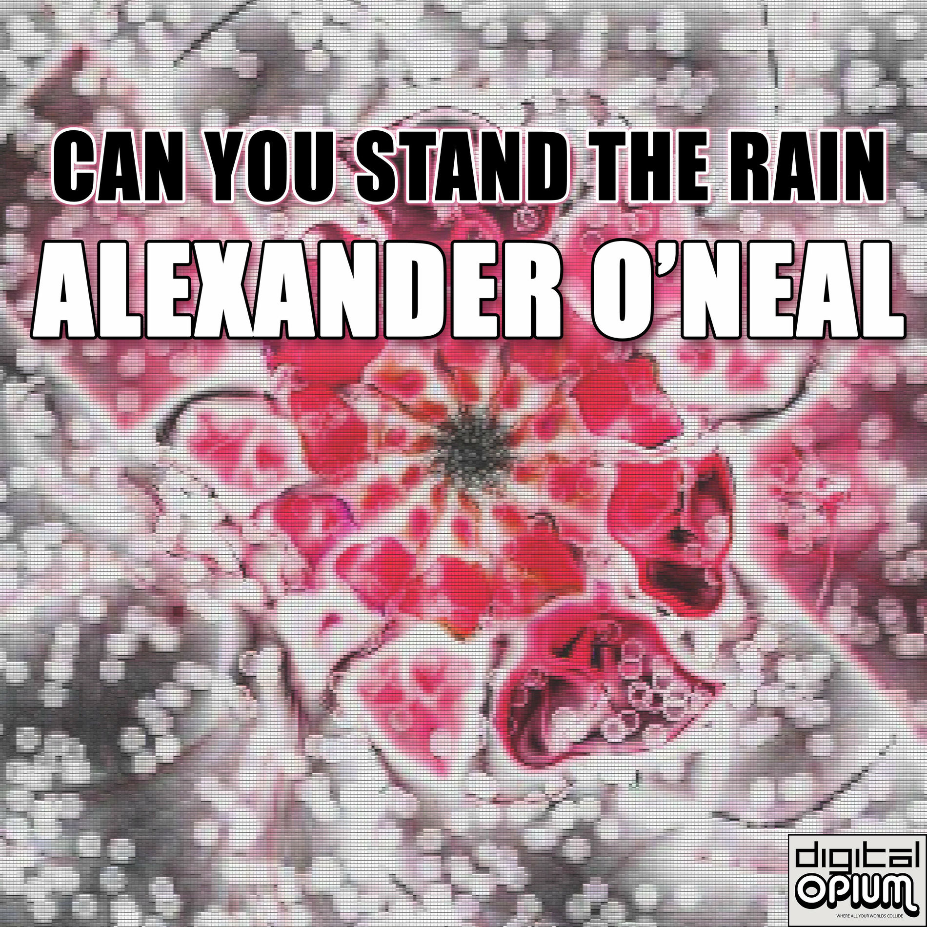 Album cover of Can You Stand the Rain