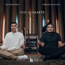 Cover of Voy a Amarte (Remix)
