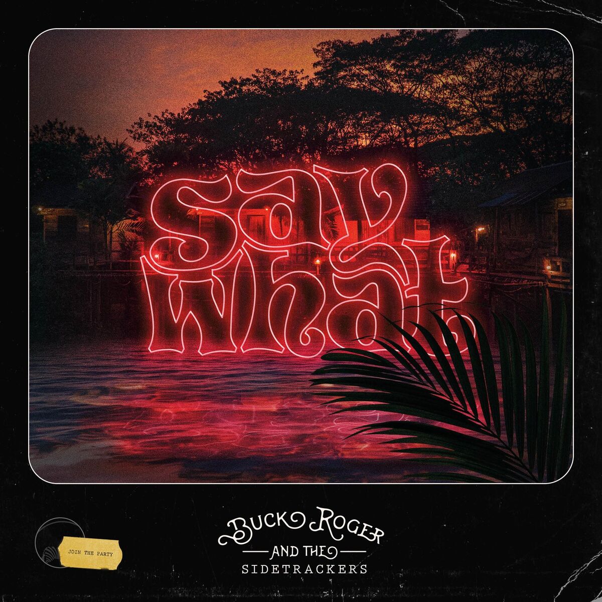 Album cover of Say What