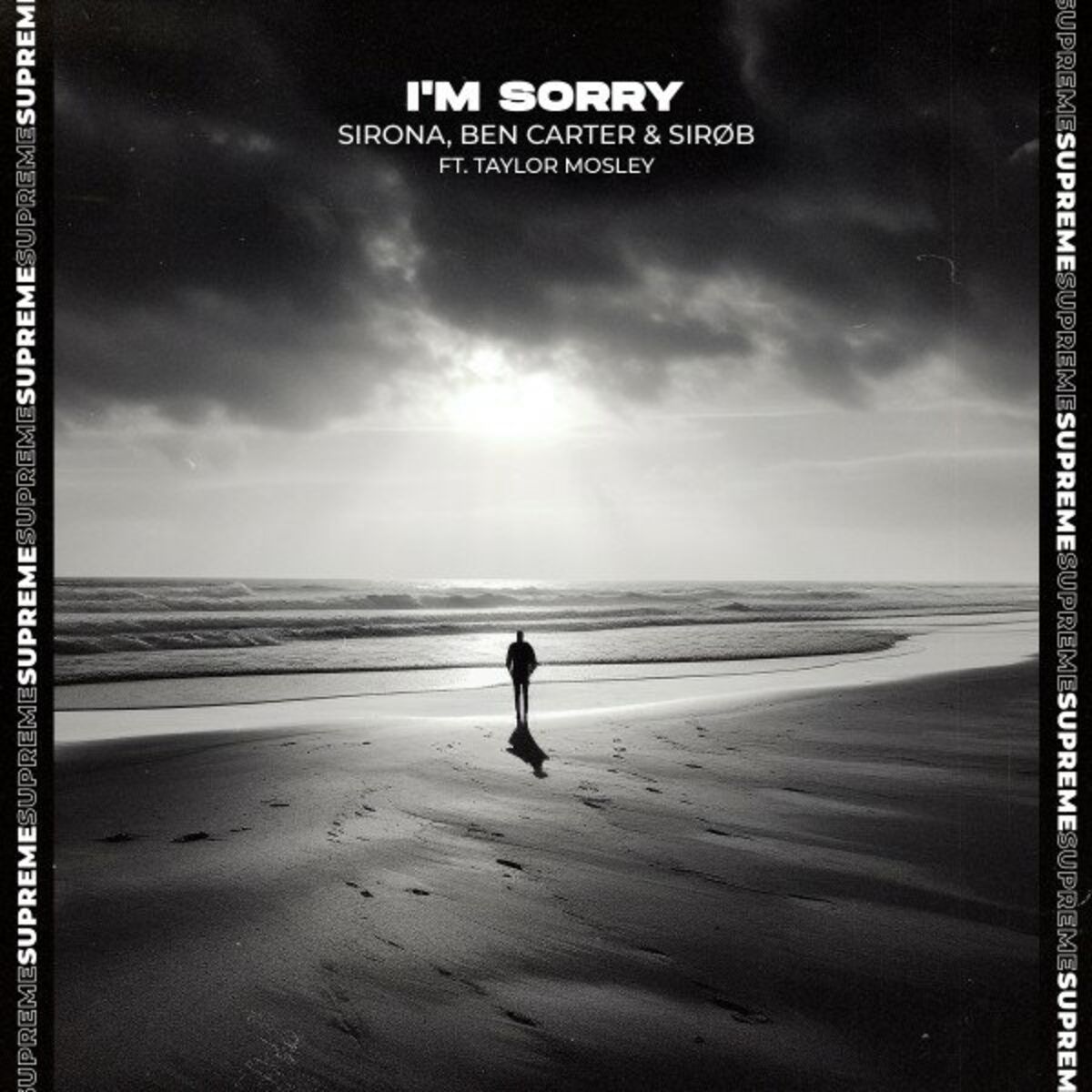 Album cover of I'm Sorry