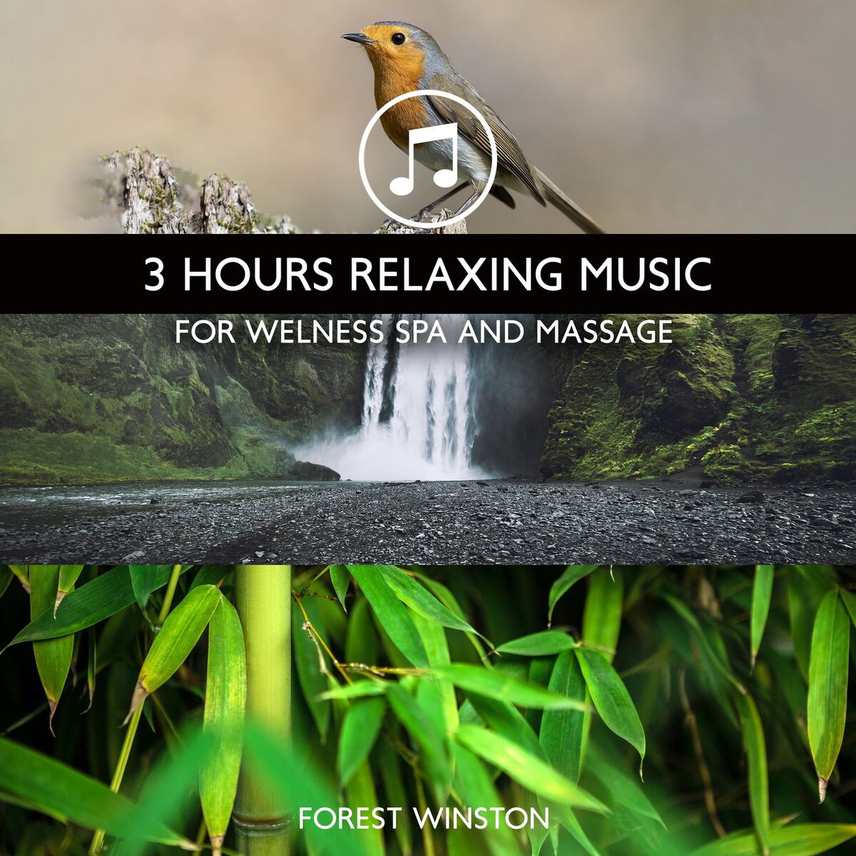 Album cover of 3 Hours Relaxing Music for Welness Spa and Massage: 50 Nature Sounds (Singing Birds, Waterfall, Bubbling Brooks, Ocean, Thundersto