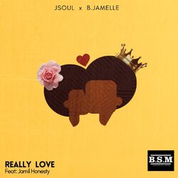 Cover of Really Love
