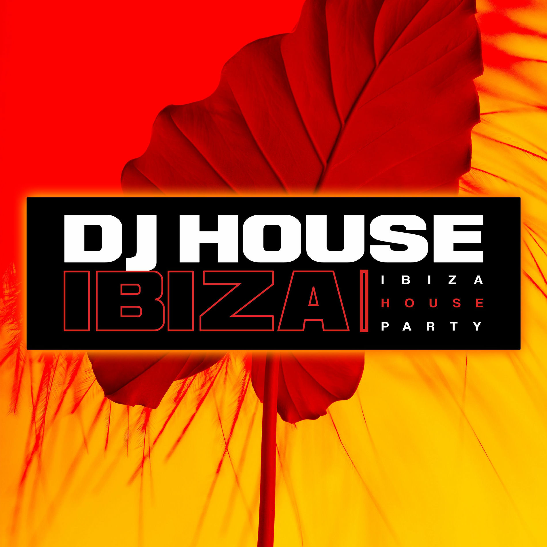 Album cover of DJ House Ibiza