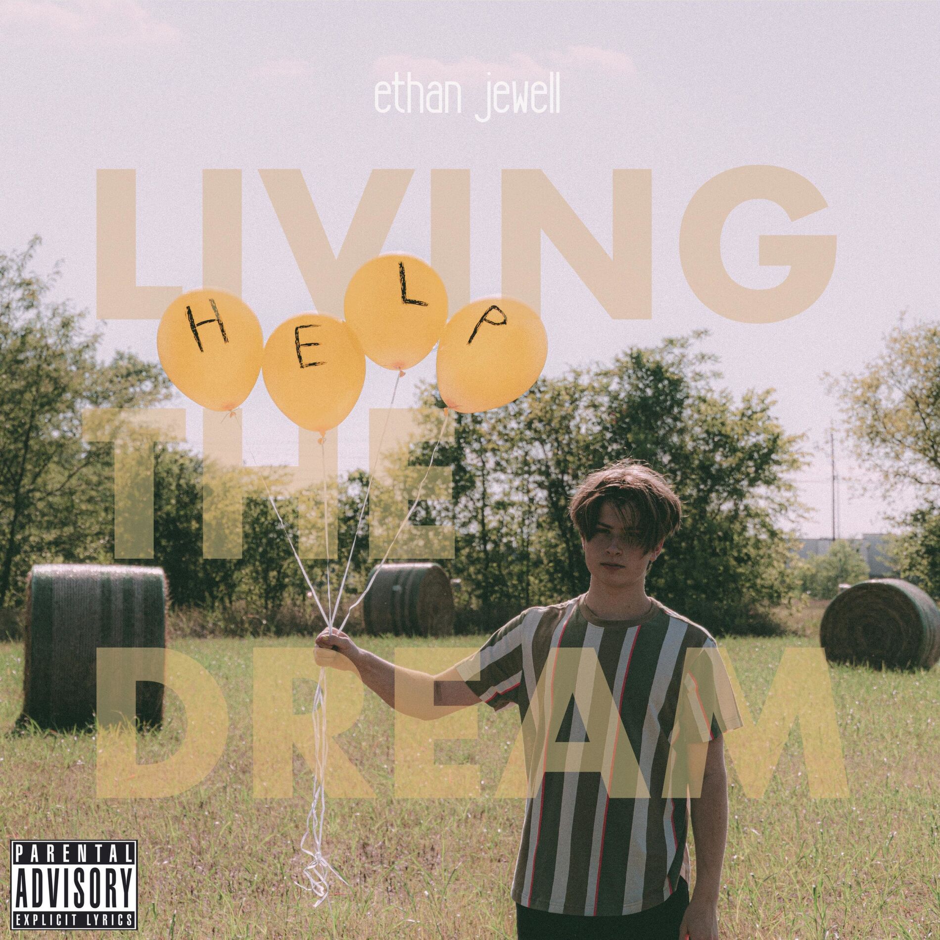 Album cover of The Dark