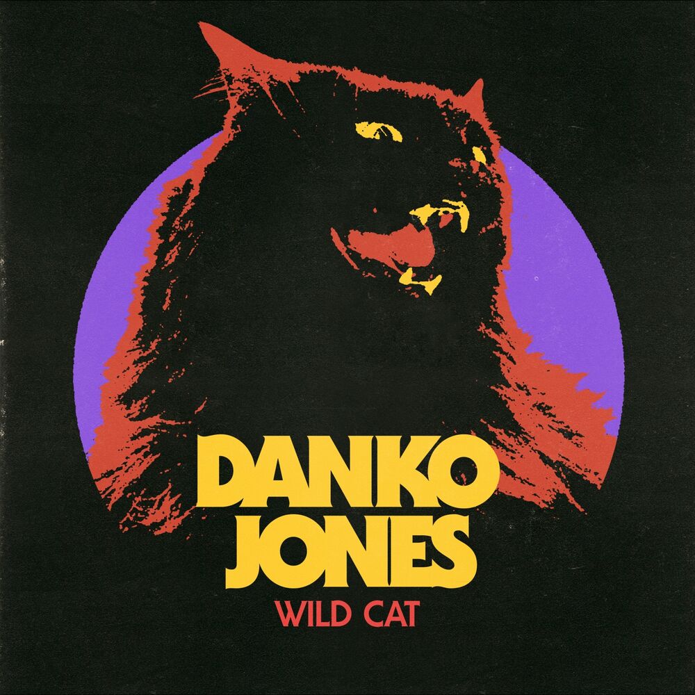 Picture of Wild Cat