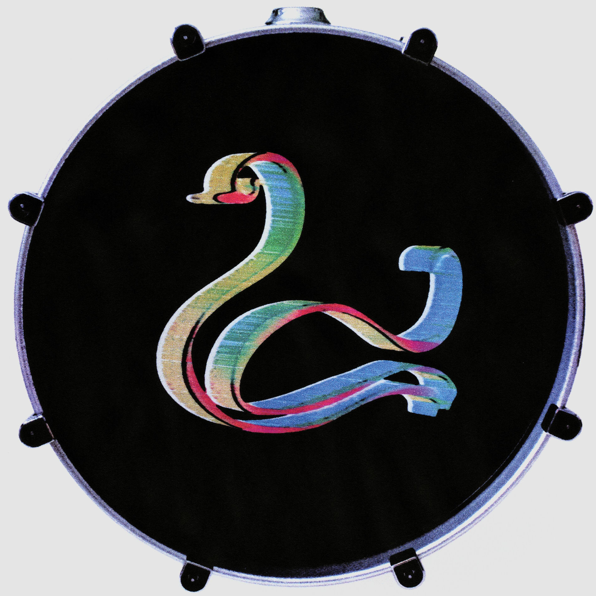 Album cover of Shake Your Tailfeather