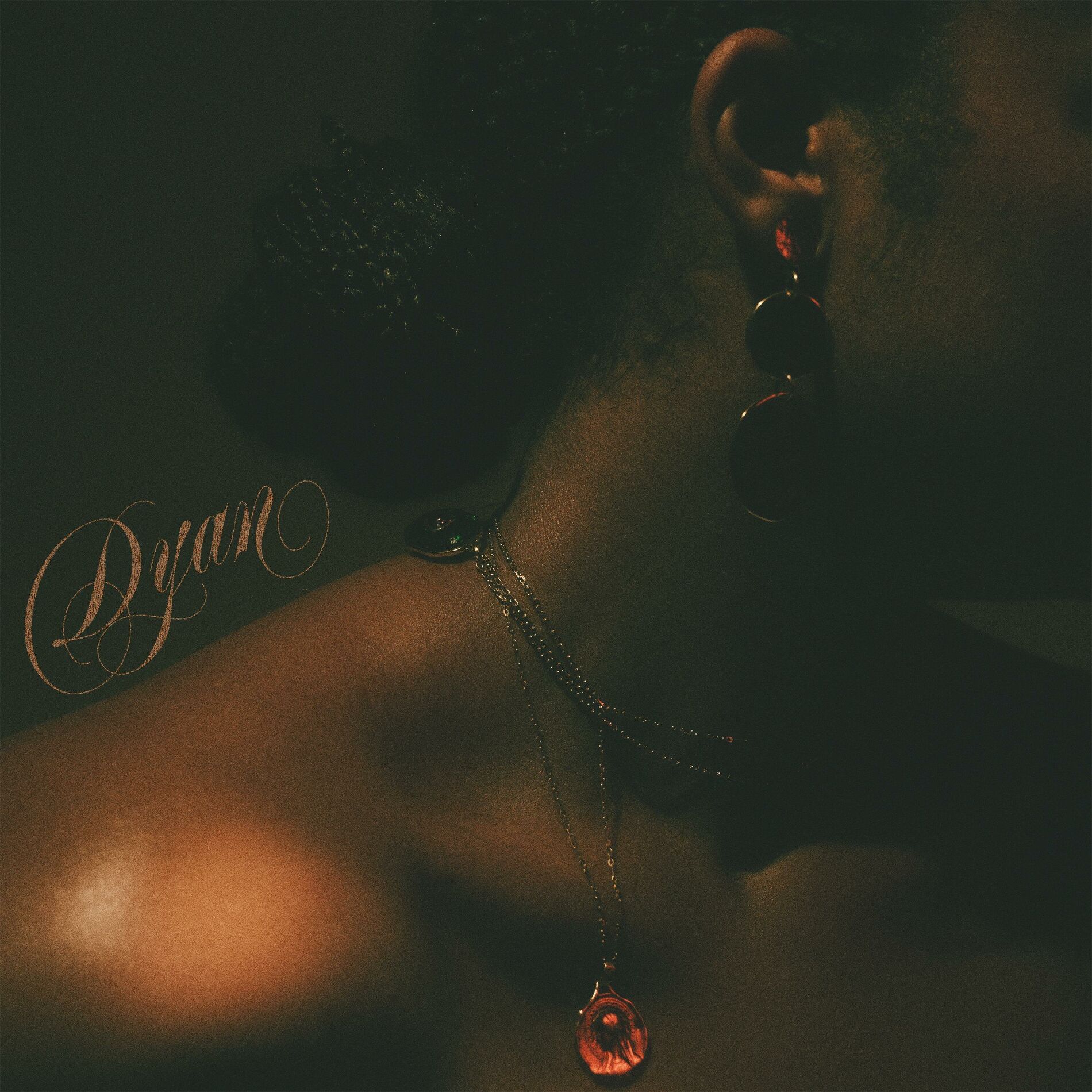 Album cover of Dyan