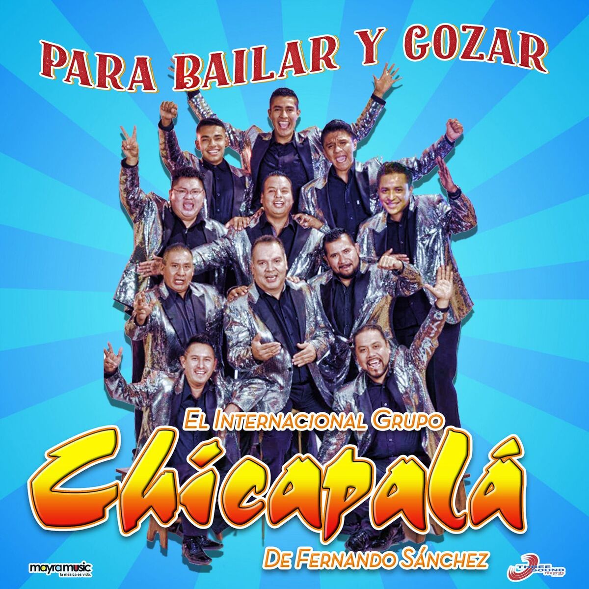 Album cover of Para Bailar y Gozar