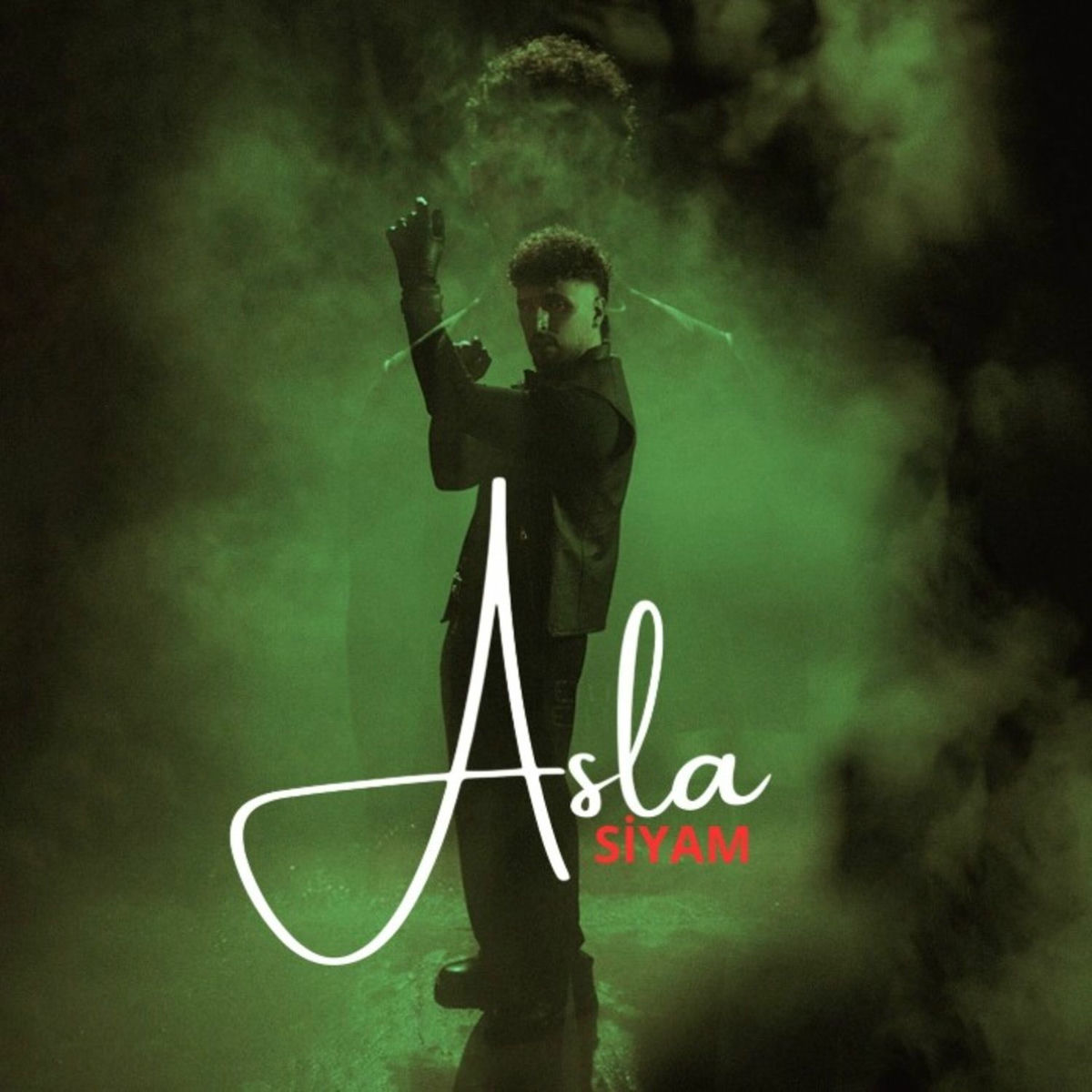Album cover of Asla