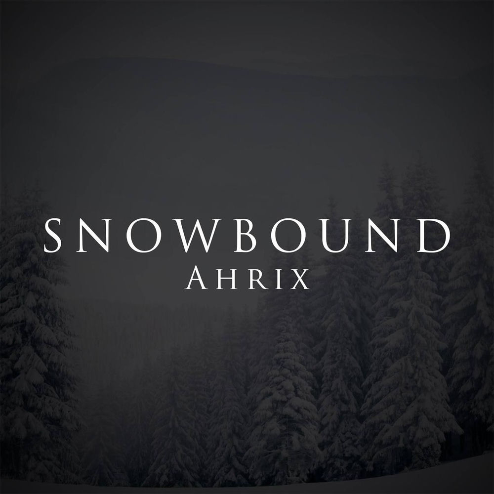 ahrix net worth