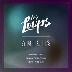 Cover of Amicus