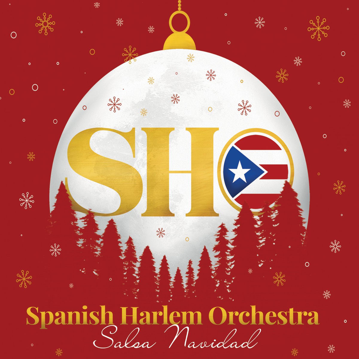 Album cover of Salsa Navidad