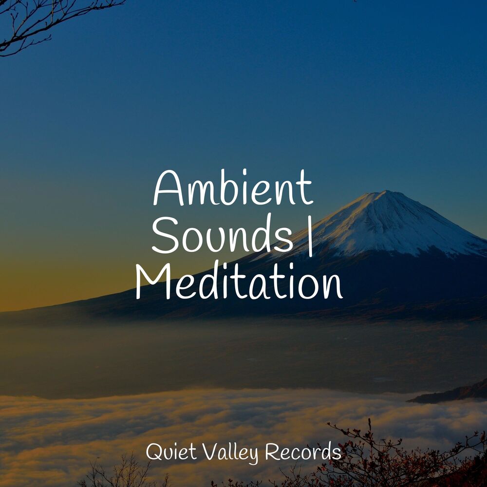 Picture of Ambient Sounds | Meditation