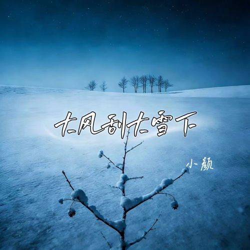大风刮大雪下