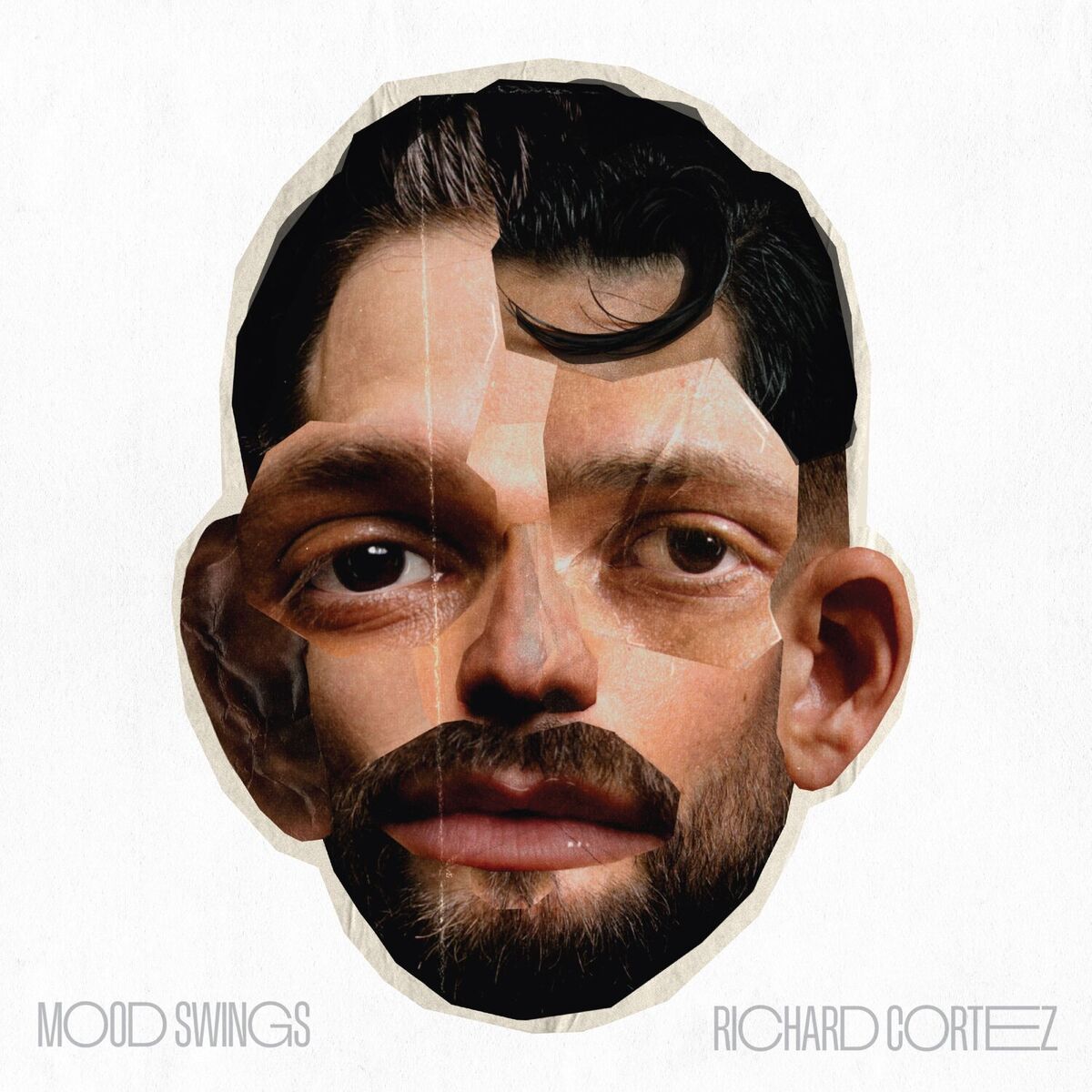 Album cover of Mood Swings