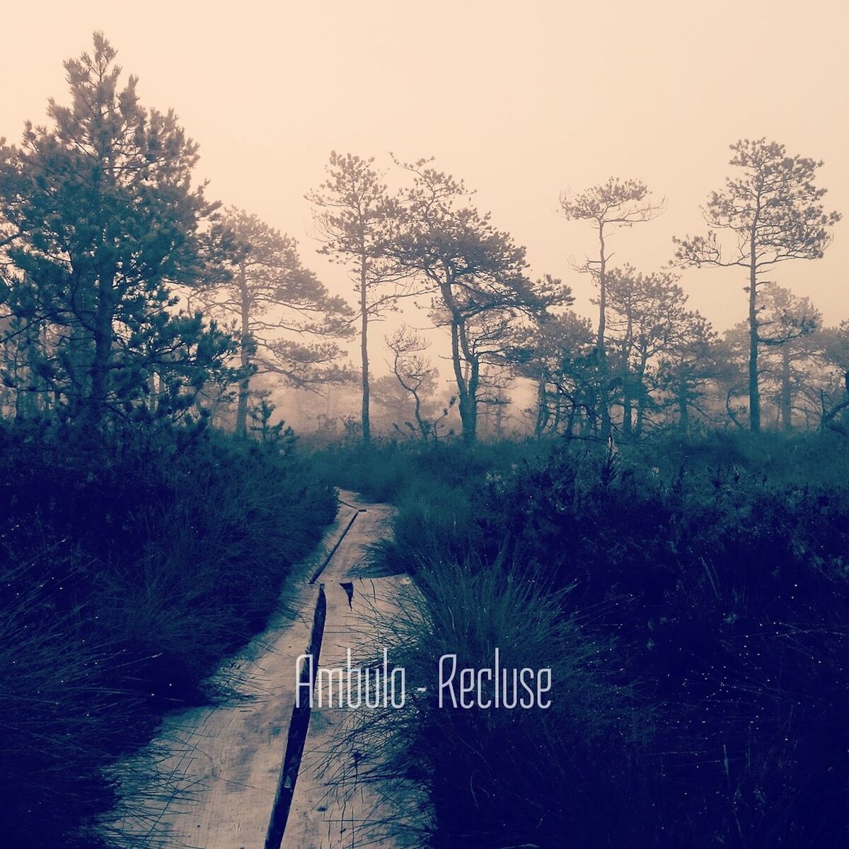 Album cover of Recluse