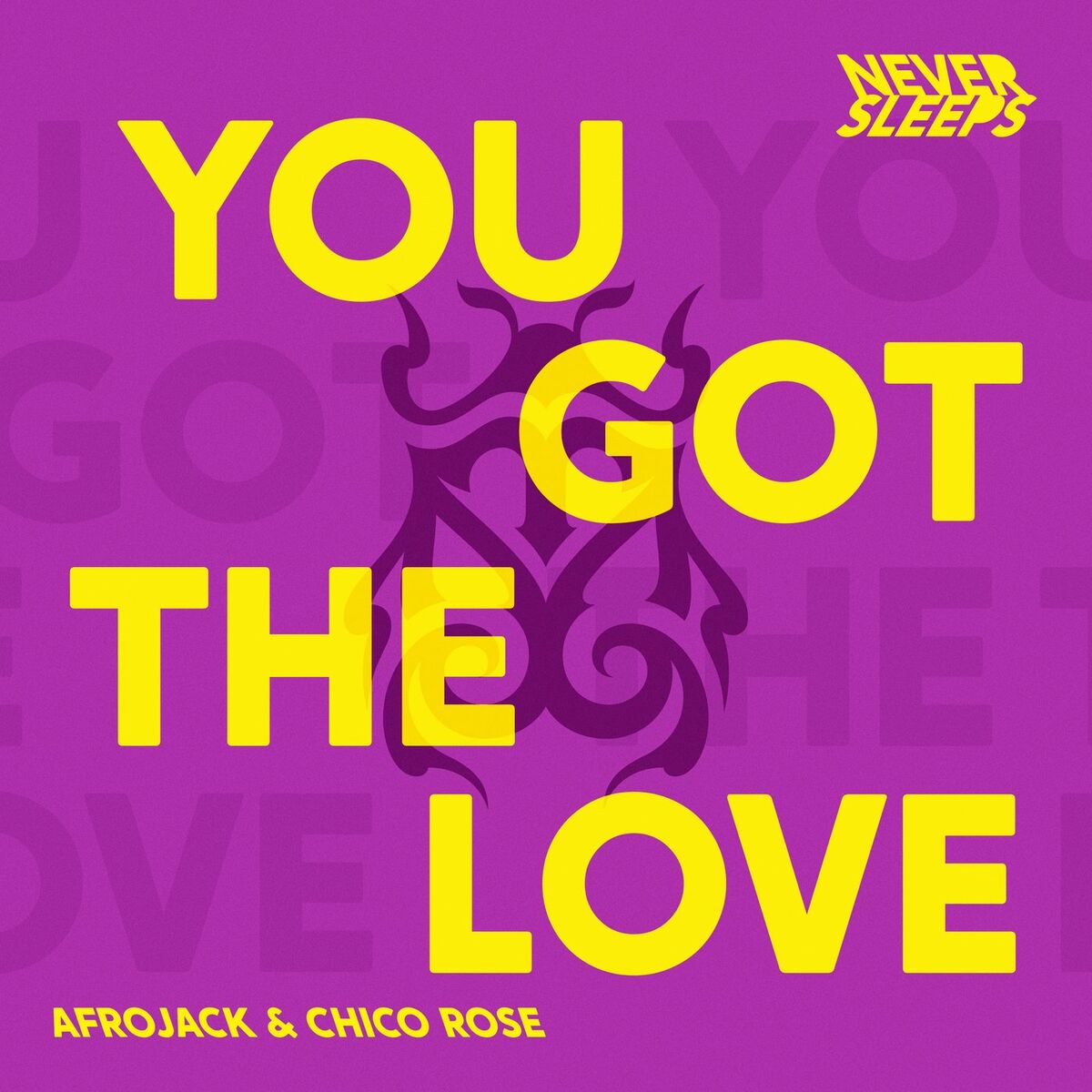 Album cover of You Got The Love