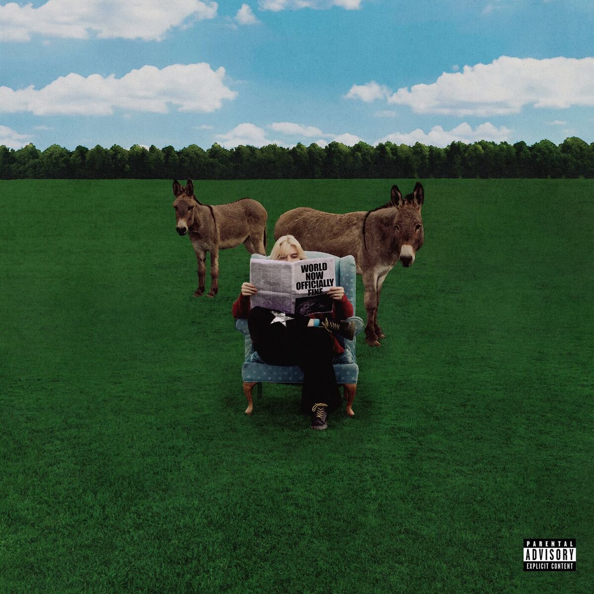 Album cover of Vienna (Everything’s Fine)