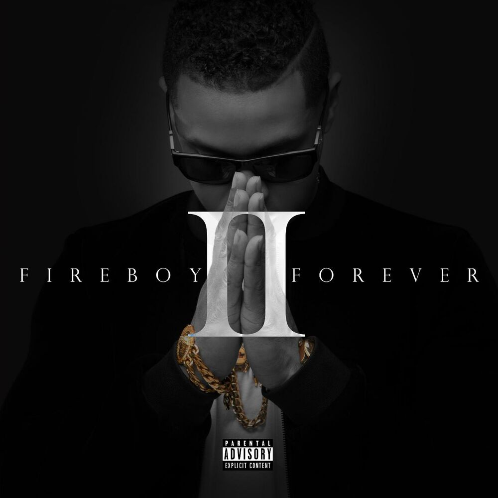 Picture of Fireboy Forever II