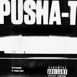 Cover of Sociopath