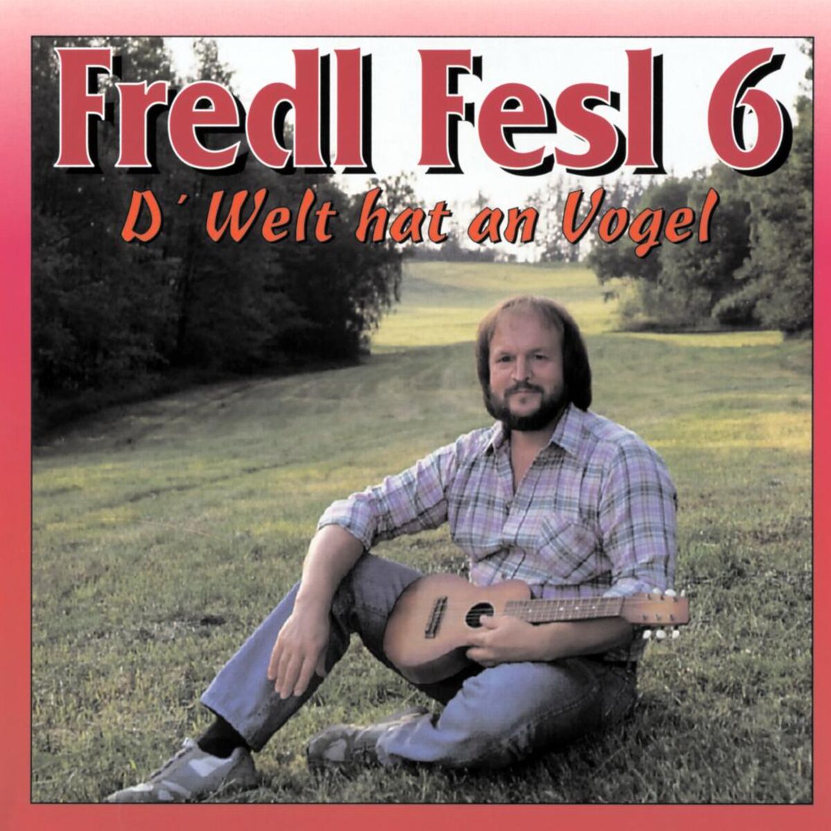 Album cover of D'Welt hat an Vogel