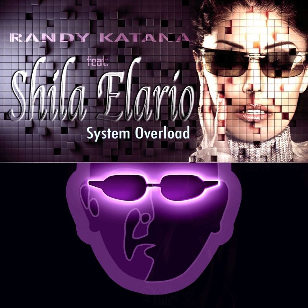 Picture of System Overload