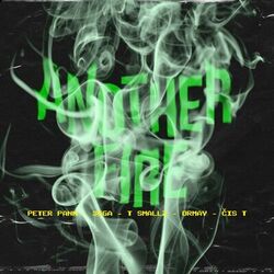 Cover of Another Fire