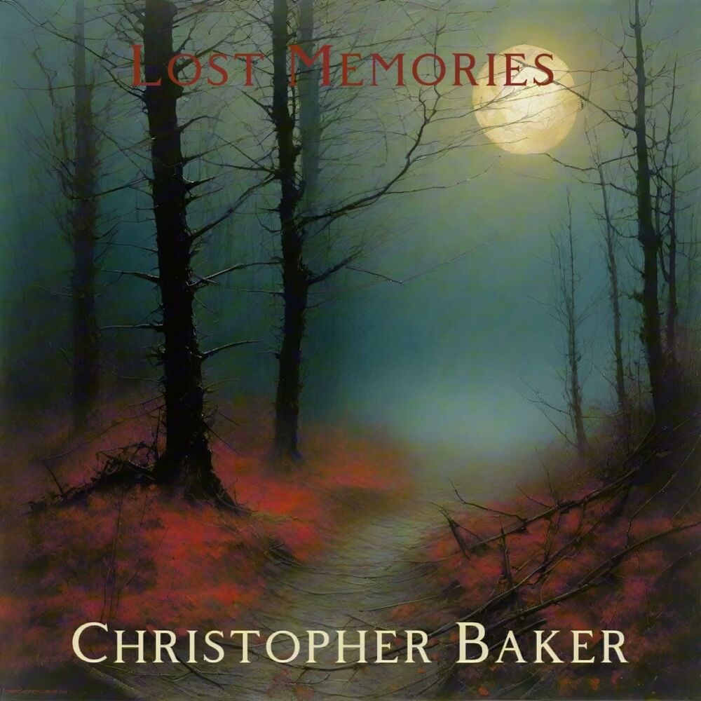 Picture of Lost Memories