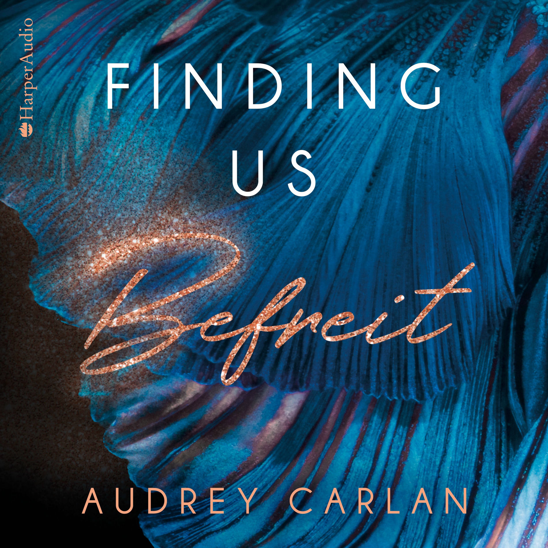 Album cover of Finding us - Befreit (ungekürzt)