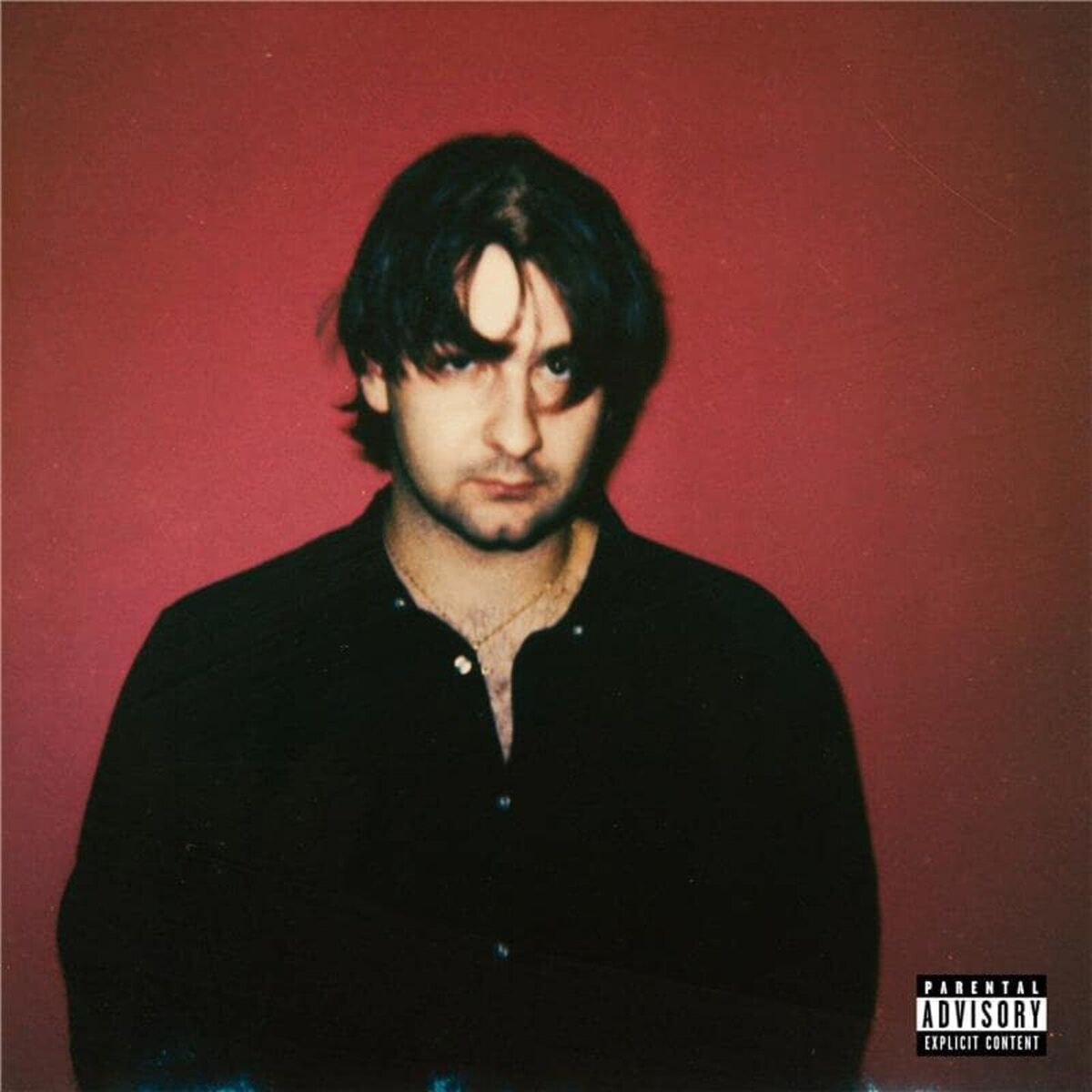 Album cover of CHIEN BRILLANT