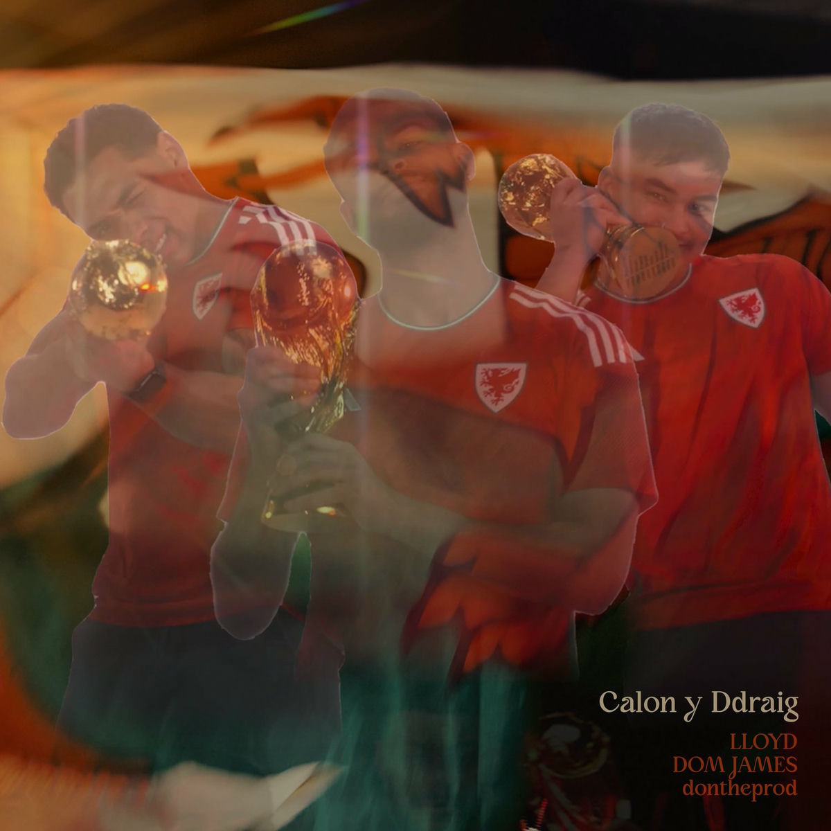 Album cover of Calon Y Ddraig